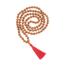 RUDRAKSHA and MALA BEADS