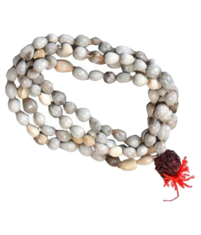 RUDRAKSHA and MALA BEADS